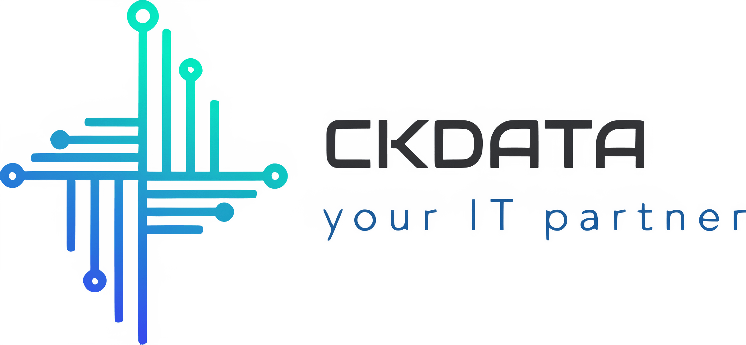 Logo CKDATA